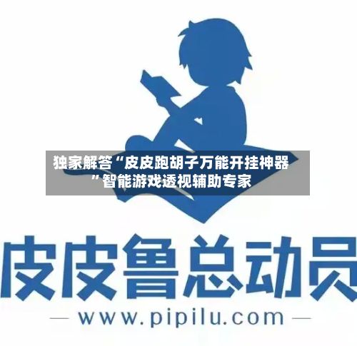 独家解答“皮皮跑胡子万能开挂神器”智能游戏透视辅助专家-第2张图片