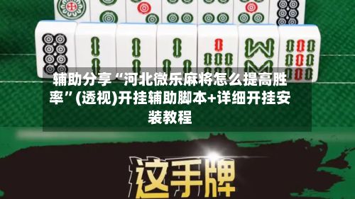 辅助分享“河北微乐麻将怎么提高胜率	”(透视)开挂辅助脚本+详细开挂安装教程-第2张图片