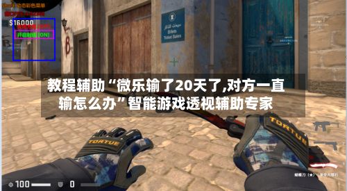 教程辅助“微乐输了20天了,对方一直输怎么办”智能游戏透视辅助专家-第3张图片