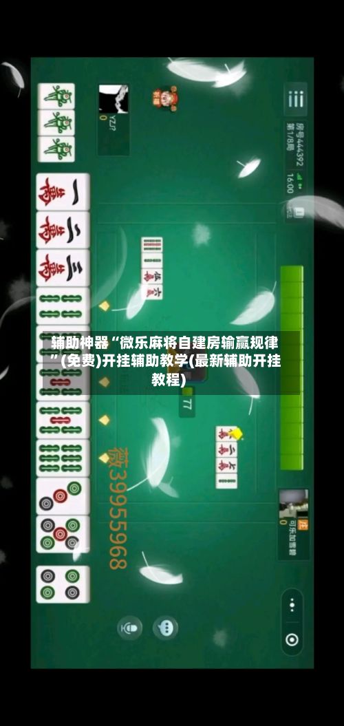 辅助神器“微乐麻将自建房输赢规律	”(免费)开挂辅助教学(最新辅助开挂教程)-第2张图片