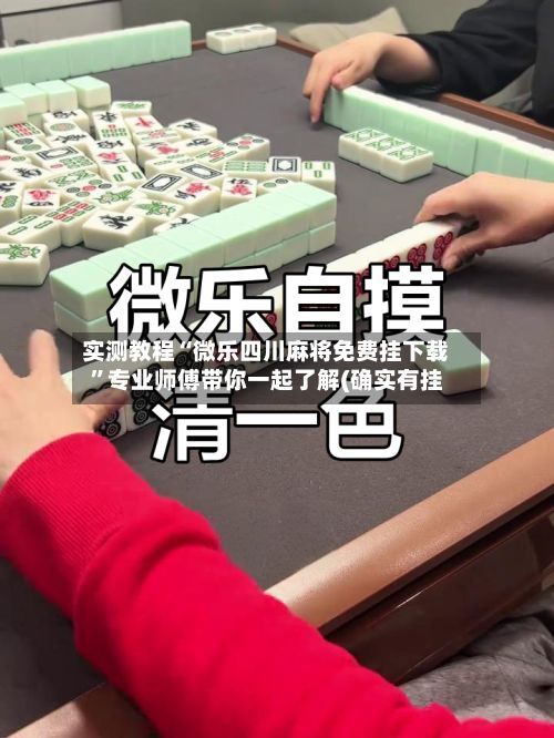 实测教程“微乐四川麻将免费挂下载	”专业师傅带你一起了解(确实有挂-第2张图片