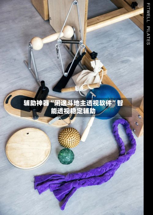 辅助神器“闲逸斗地主透视软件”智能透视稳定辅助