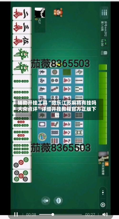 辅助开挂工具“微乐江苏麻将有挂吗大众点评”详细开挂教程官方正版下载-第3张图片