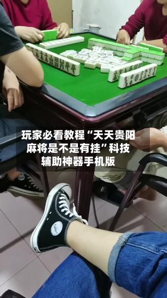 玩家必看教程“天天贵阳麻将是不是有挂”科技辅助神器手机版-第2张图片