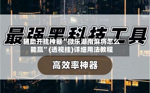 辅助开挂神器“微乐湖南麻将怎么能赢”(透视挂)详细用法教程