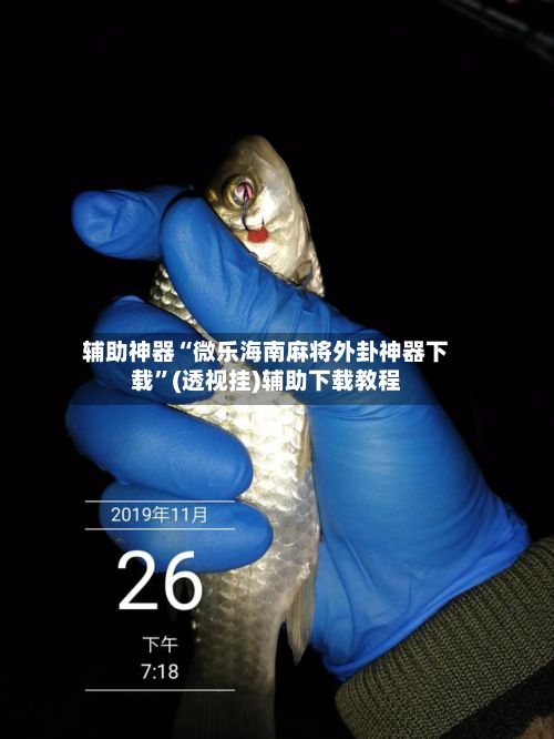 辅助神器“微乐海南麻将外卦神器下载	”(透视挂)辅助下载教程-第2张图片